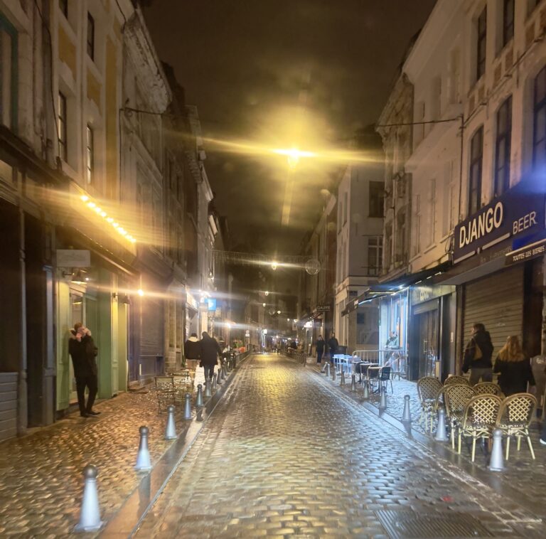 Découvrez le Vieux Lille : Un Quartier Historique aux Mille Facettes